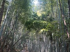 -敬亭山风景名胜区