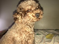 -王红军龙虾(新民路店)