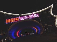 -枫花园汽车电影院(朝阳公园店)