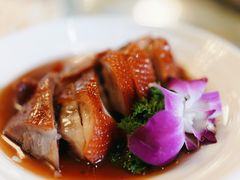 -新聚丰菜馆(太监弄店)