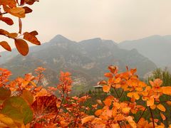 -周口店坡峰岭风景区