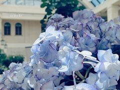 -利顺德大饭店·维多利亚花园(小白楼店)