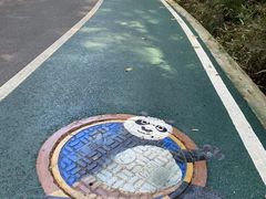 -惠山国家森林公园