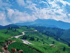 -灵山