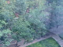 -北工大风味餐厅(北京工业大学东区店)