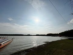 -上海海湾国家森林公园