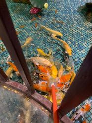 -酷嗒动物文化乐园(cutezoo西溪乐天城店)