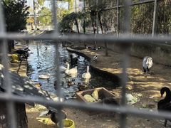 -水绘园