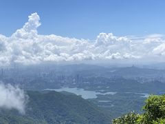 -梧桐山风景名胜区