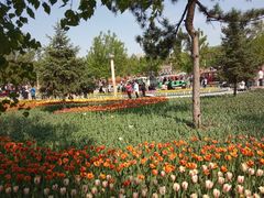 -长春公园(普阳街道)