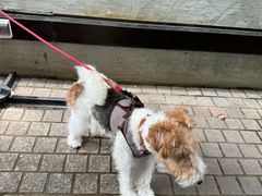 -章吴记喜瑞餐厅(东东城店)