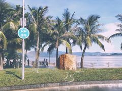 -深圳湾公园(南山区)