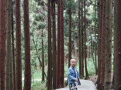 -武陵山森林公园