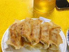 羊肉锅贴-青岛锅贴(洛阳路分店)