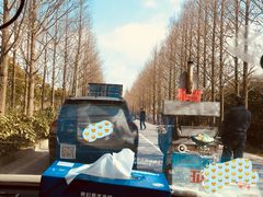 -长兴对江渡客运站