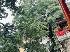 -涂山寺素食餐厅
