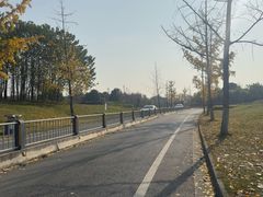 -两河城市森林公园