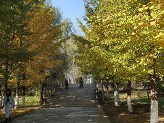 -长白岛森林公园