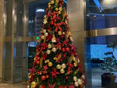 -上海锦江汤臣洲际大酒店壹阶层