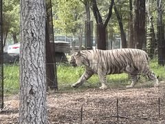 -秦皇岛野生动物园
