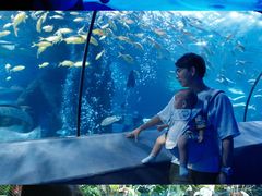 -太平洋海底世界