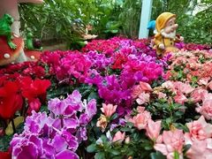 -石家庄市植物园