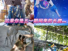 -长鹿旅游休博园