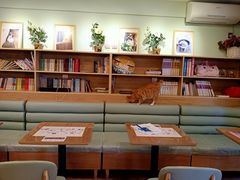 -MOYOYO猫咪咖啡店