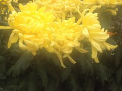 iphone_upload_pic-迎泽公园
