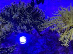 -海合安青岛极地海洋公园