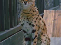 -北京野生动物园