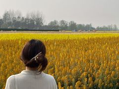 -中国天府农业博览园