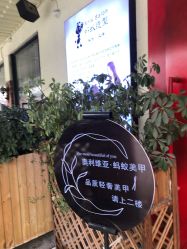 -蚂蚁造型沙龙