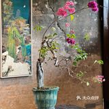 这家新中式的咖啡店在佛山开了2.0啦