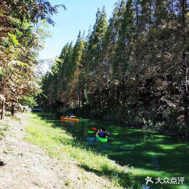 上海游攻略｜打卡本地人爱去的顾村公园⛲️