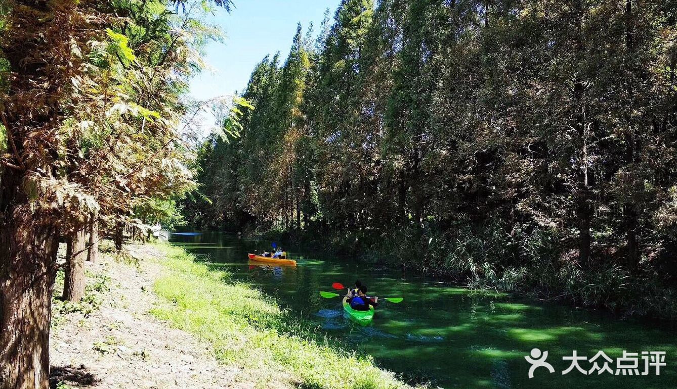 上海游攻略｜打卡本地人爱去的顾村公园⛲️