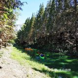 上海游攻略｜打卡本地人爱去的顾村公园⛲️