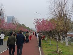 -艾溪湖湿地公园
