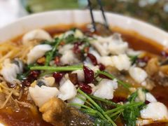 -寻味顺德·南记酒家·传统顺德菜·鱼生(广源路店)
