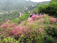 -木兰云雾山