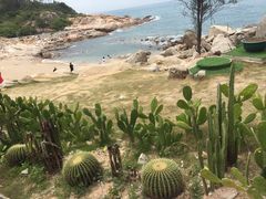 -广东惠东海龟国家级自然保护区