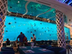 -瑞德姆美人鱼海底演艺主题餐厅(亚龙湾店)