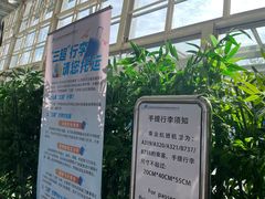 -威海大水泊国际机场