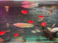 -手佳·水疗汇(嘉益店)
