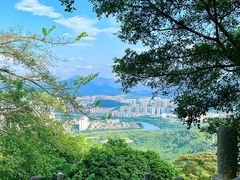 -风云岭森林公园