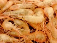 -南海迎宾馆·经典南海菜