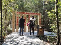 -九龙江国家森林公园