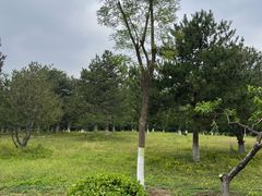 -太阳宫公园