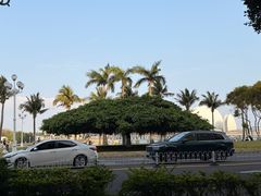 -珠海市博物馆