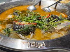 -重庆火锅水库鱼庄(南油店)